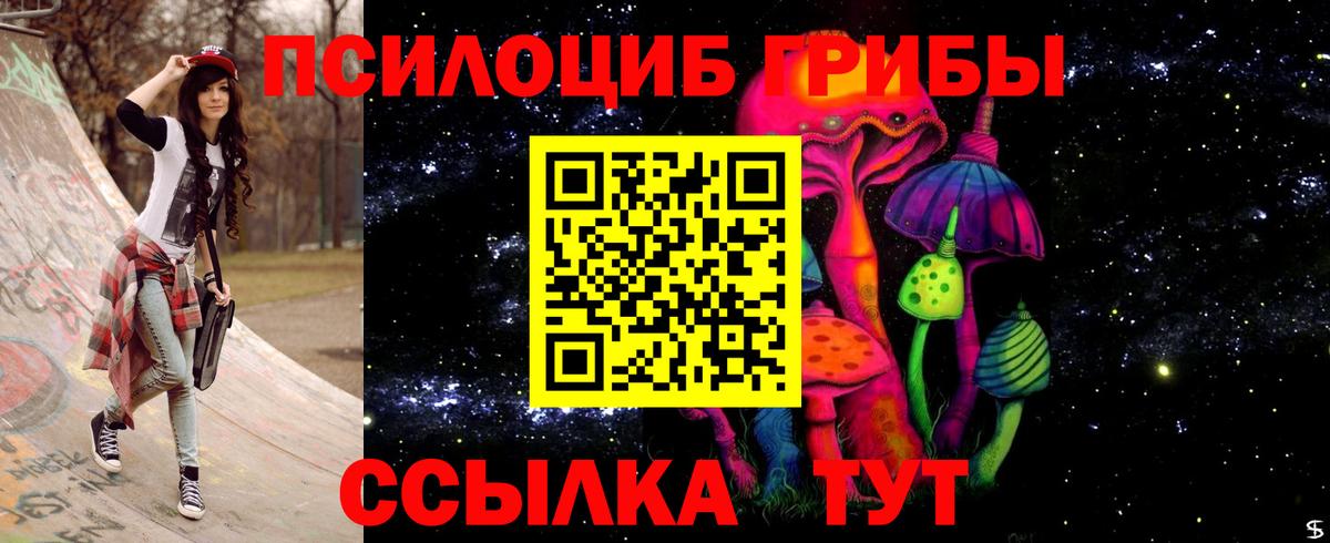 Тулун  Псилоцибиновые грибы GOLDEN TEACHER  Галлюциногенные грибы прущие грибы  Вход с VPN 