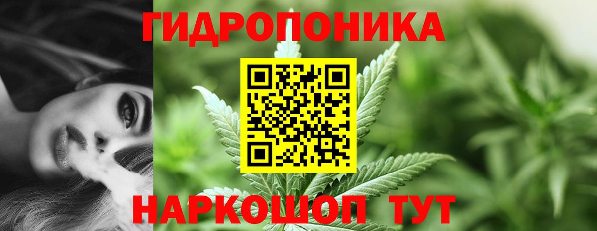 Марихуана ГИДРОПОН  Каннабис семена  Вход с VPN  Тулун  Бошки марихуана OG Kush 